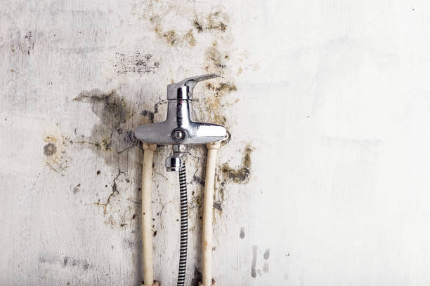 Best Bathroom Mold Remediation in Midtown, TN