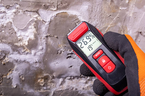 Best Black Mold Remediation in Midtown, TN